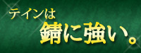 株式会社テイン